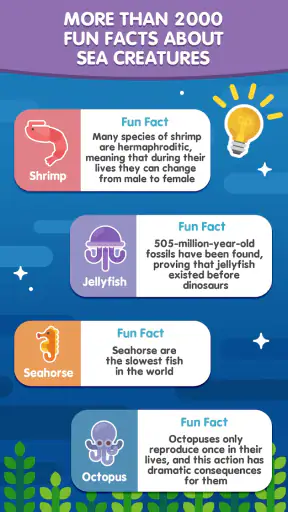 Word Search Sea: Offline Games