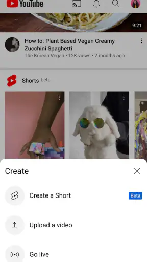 YouTube