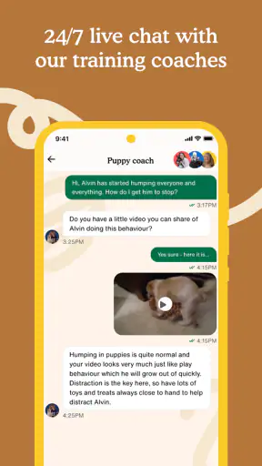 Zigzag - Dog & Puppy Training