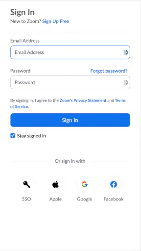 Zoom Workplace for Chromebook