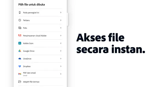 Adobe Acrobat Reader: Edit PDF