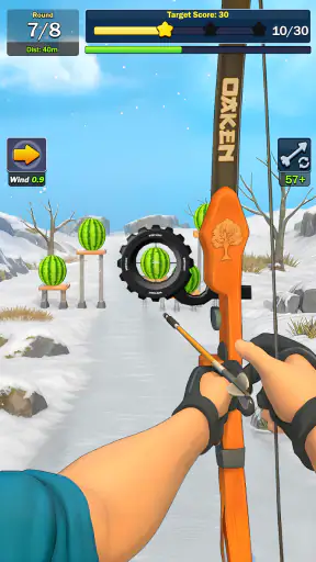 Aim Master: Archery Game