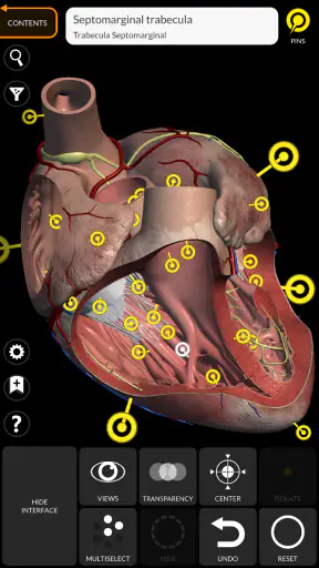 Anatomy 3d Atlas