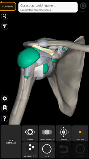 Anatomy 3d Atlas