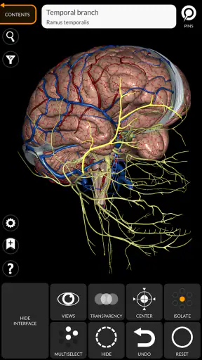 Anatomy 3d Atlas