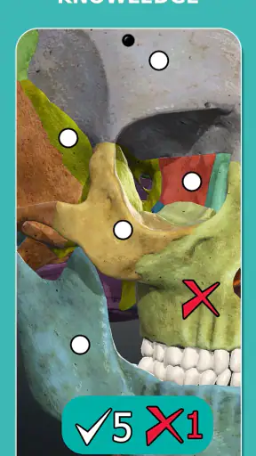 Anatomy Learning - 3D Anatomy