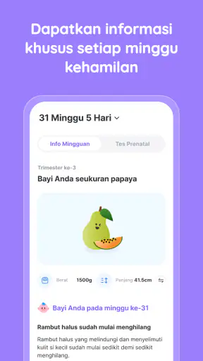 Bomee (momitalk)