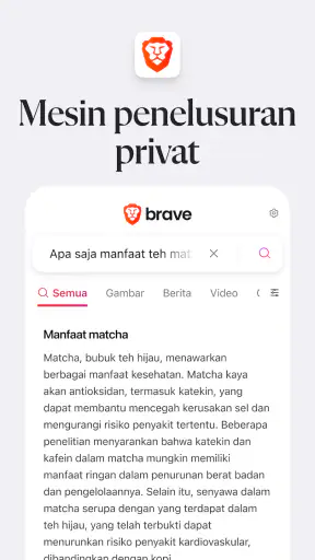 Brave Browser Web: VPN, AI