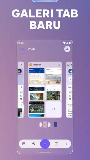 Browser Opera beta