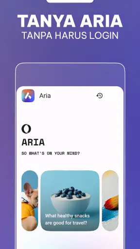 Browser Opera beta