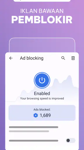 Browser Opera beta