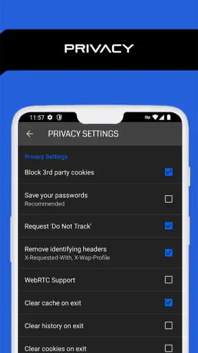 Browser Proxy Cepat