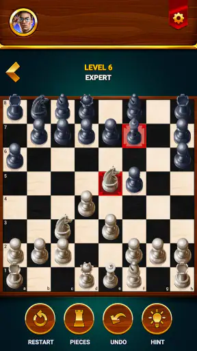 Catur - Game Papan Offline