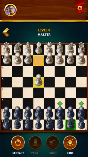 Catur - Game Papan Offline