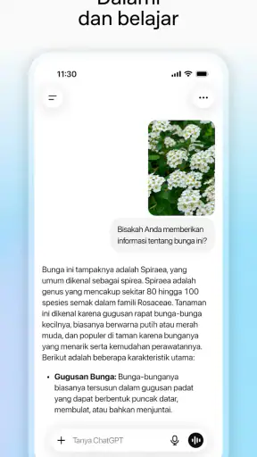 ChatGPT