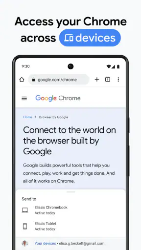 Chrome Dev