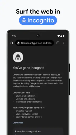 Chrome Dev