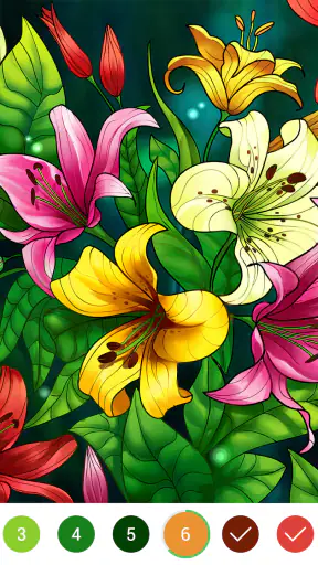 Coloring Book: Color by Number
