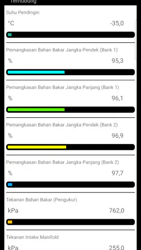 Diagnostik Tor OBD2