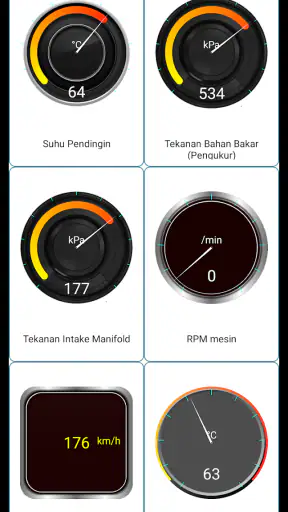 Diagnostik Tor OBD2