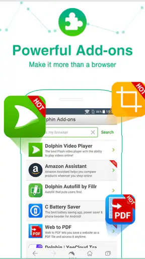 Dolphin Browser: Fast, Private