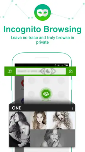 Dolphin Browser: Fast, Private