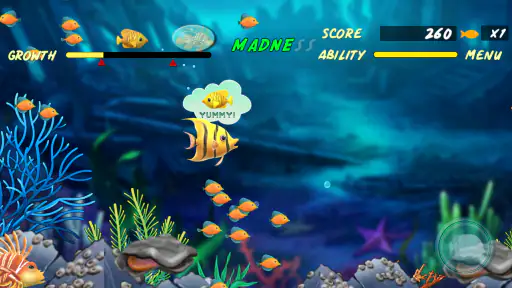 Feeding Frenzy