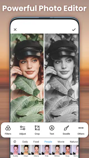 Galeri Foto - Album, Vault