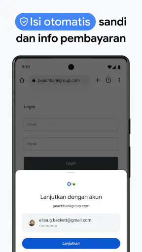 Google Chrome