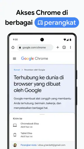 Google Chrome