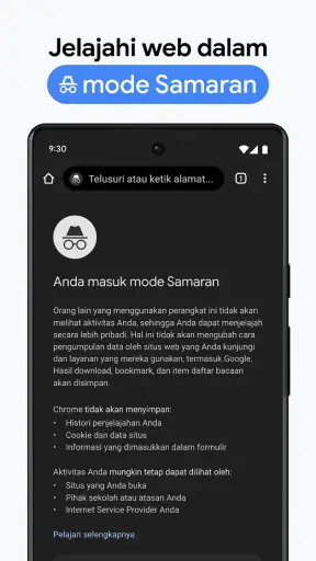 Google Chrome