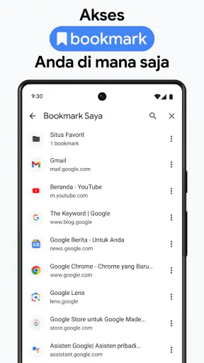 Google Chrome
