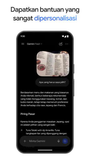 Google Gemini