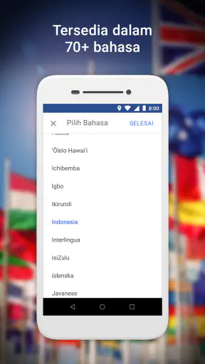Google Maps Go