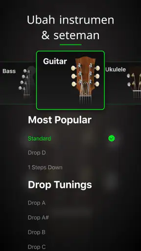 Guitar Tuner Pro: Music Tuning