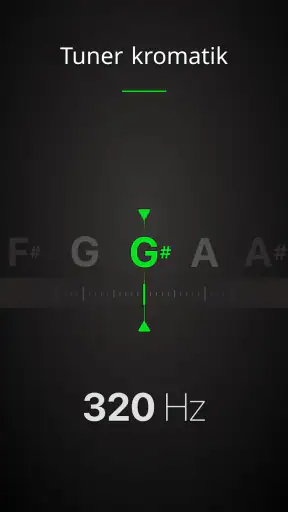 Guitar Tuner Pro: Music Tuning