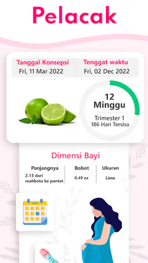 Kalkulator Kehamilan, Kalender