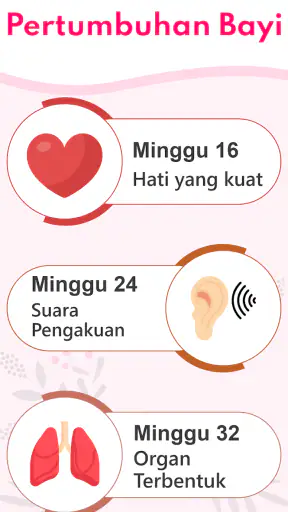 Kalkulator Kehamilan, Kalender