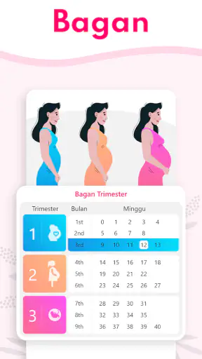 Kalkulator Kehamilan, Kalender