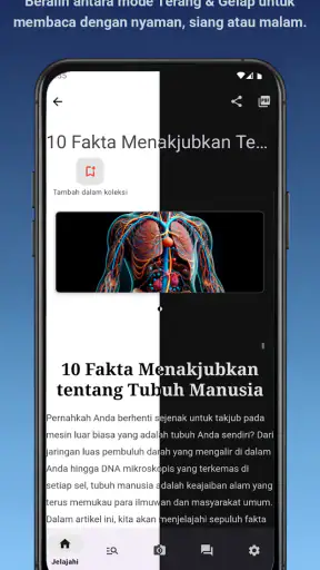 Kamus Kesehatan Lengkap