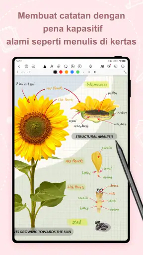 Kilonotes-Notes & PDF Editing