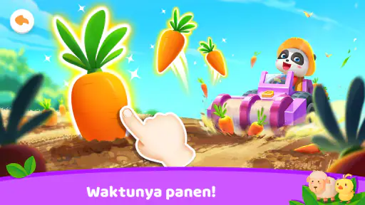 Kota Panda Kecil: Peternakanku
