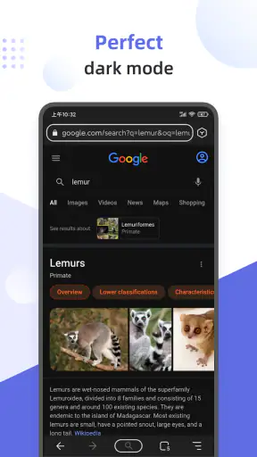Lemur Browser - Extensions