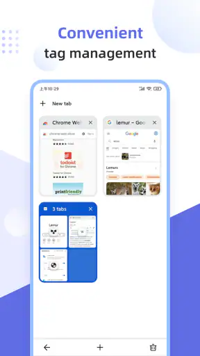 Lemur Browser - Extensions