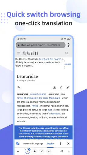 Lemur Browser - Extensions