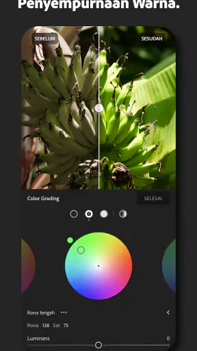 Lightroom AI Editor Foto