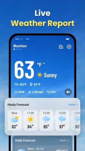 Live Weather: Daily Forecast