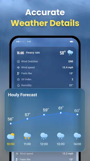 Live Weather: Daily Forecast