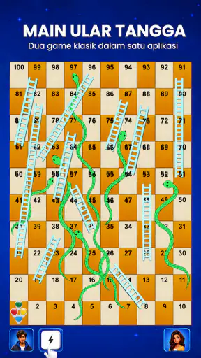 Ludo Offline