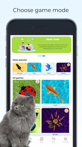 Mainan Kucing Game Suara Meow